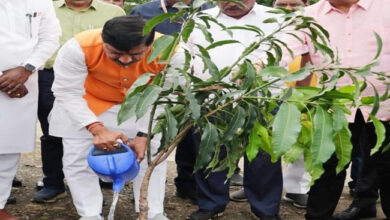 मुख्यमंत्री डॉ. यादव ने यवतमाल के दीनदयाल प्रबोधिनी में रोपा पौधा