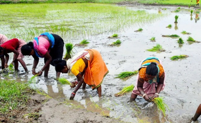 प्रधानमंत्री श्री मोदी ने किसानों के लिए 7 नई कृषि परियोजनाओं को दी मंजूरी