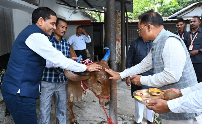 मुख्यमंत्री श्री विष्णु देव साय ने गोवर्धन पूजा के अवसर पर की गौ वंश की पूजा-अर्चना