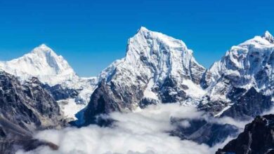 नेपाल और भूटान से आयातित बीयर: दिल्ली के बीयर बाज़ार में गुणवत्ता की नई क्रांति