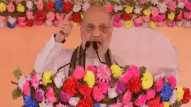 अररिया में बोले अमित शाह- चुनाव जीते तो घुसपैठियों को ढूंढ-ढूंढकर बाहर करेंगे