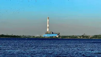 अमरकंटक ताप विद्युत गृह चचाई ने शक्ति पर्व में दिखाई अपनी शक्ति : मुख्यमंत्री डॉ. यादव