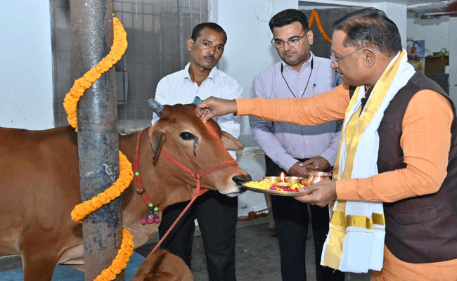 गोवर्धन पूजा के अवसर पर मुख्यमंत्री ने किया गौपूजन, प्रदेशवासियों की सुख-समृद्धि की कामना की गोवर्धन पूजा के अवसर पर मुख्यमंत्री ने किया गौपूजन, प्रदेशवासियों की सुख-समृद्धि की कामना की