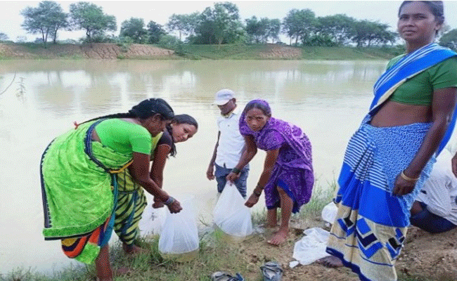 मत्स्य पालन विभाग द्वारा दिए गए तकनीकी ज्ञान, प्रशिक्षण और योजनाओं से मिली सफलता