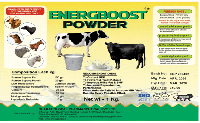 गाय भैंस और उनके बछड़ों के लिए “ENERGBOOST POWDER” वरदान