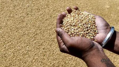 2025-26 foodgrain production estimated at record 376 MT