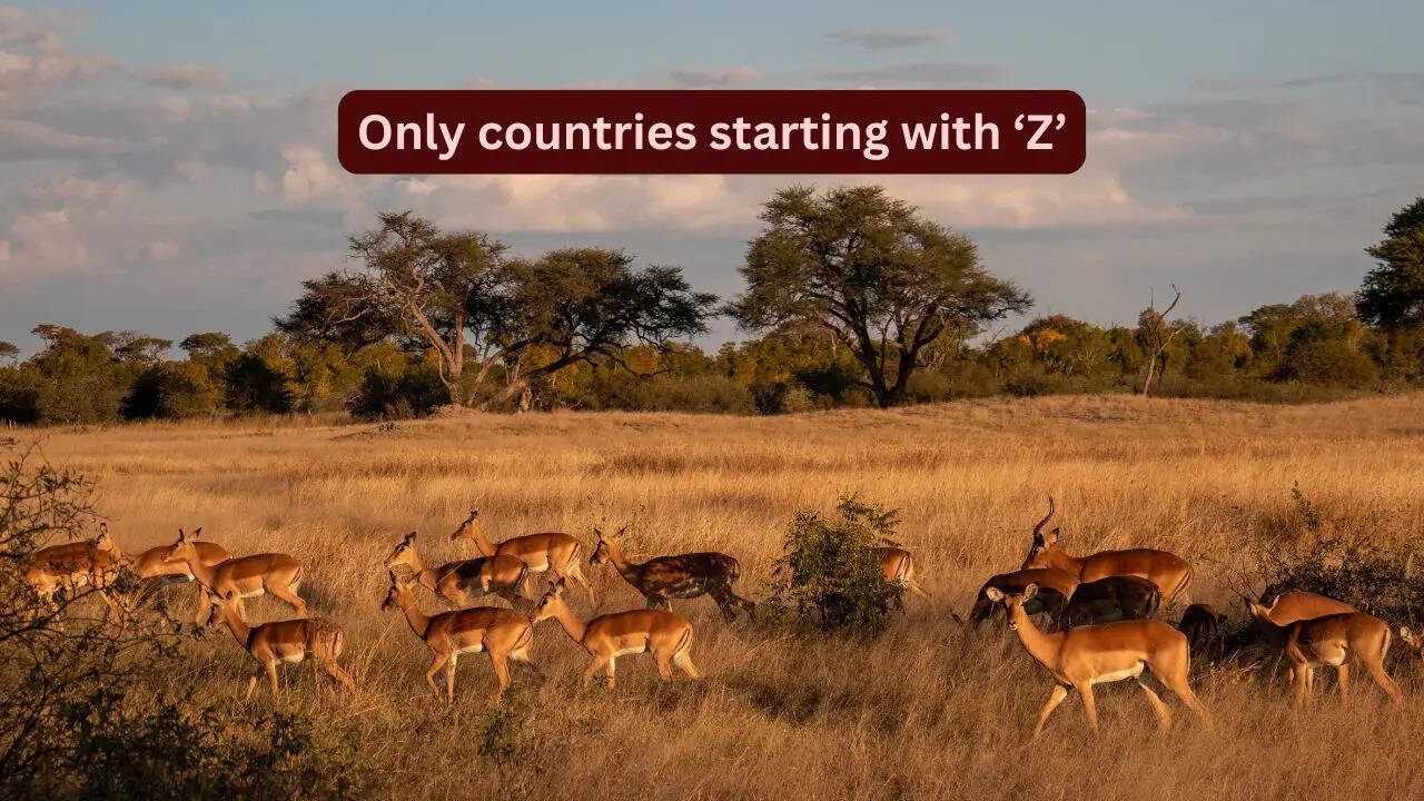There are only 2 countries starting with ‘Z’ and why travellers should explore them