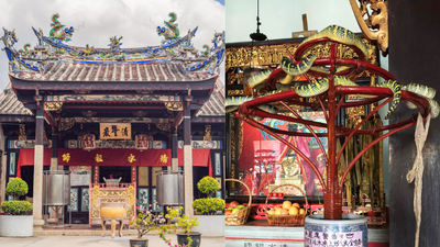Inside Malaysia’s Snake Temple where venomous vipers live among prayer halls and people worship alongside them |